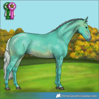 Horse Color:Watercolor Silver Brown