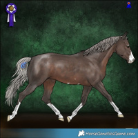Horse Color:Silver Black 