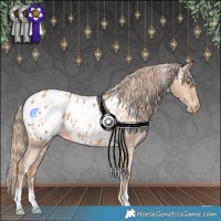Horse Color:White Spotted Chestnut Pearl Appaloosa 