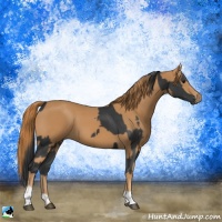 Horse Color:Black  and Chestnut 