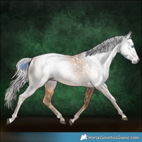 Horse Color:Gray White Spotted Chocolate Palomino Pearl Mushroom 