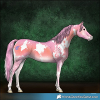 Horse Color:Watercolor White Spotted Smoky Blue Onyx 