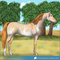 Horse Color:Platinum Watercolor White Spotted Liver Red Dun