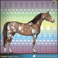 Horse Color:White Spotted Liver Red Dun 
