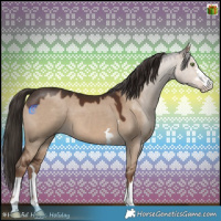 Horse Color:Liver Red Dun 