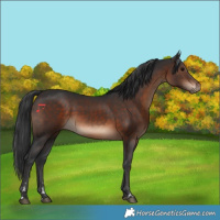 Horse Color:Brown 