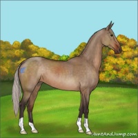 Horse Color:Silver Brown Dun