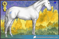 Horse Color:Gray White Spotted Liver Chestnut Sabino Rabicano