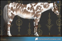 Horse Color:Liver Red Dun Leopard Brindle 