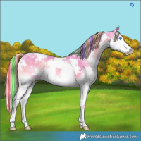 Horse Color:Painted Watercolor White Spotted Liver Red Onyx Splash 