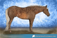 Horse Color:Liver Chestnut  and Chocolate Palomino 