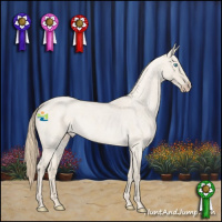 Horse Color:Smoky Creme Roan Dun 