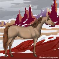 Horse Color:Red Dun 