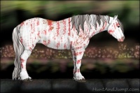 Horse Color:Bay Sabino  and Silver Bay Sabino 