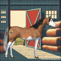 Horse Color:Bay Roan Splash 