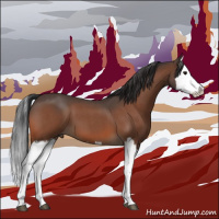 Horse Color:Bay Roan Splash 