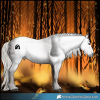Horse Color:Gray Silver Black 