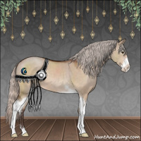 Horse Color:Silver Brown Dun Sabino 
