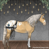 Horse Color:Silver Buckskin Dun Appaloosa 