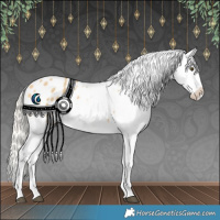 Horse Color:Silver Buckskin Dun Appaloosa 