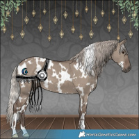 Horse Color:White Spotted Silver Grullo 