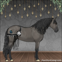 Horse Color:Grullo 