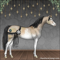 Horse Color:White Spotted Bay Dun