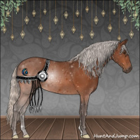 Horse Color:Silver Brown 