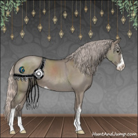 Horse Color:Silver Grullo Sabino