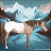 Horse Color:Amber Champagne Snowcap Rabicano 