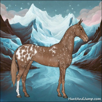 Horse Color:Chestnut Appaloosa