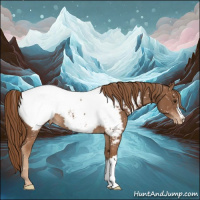 Horse Color:Chestnut Appaloosa