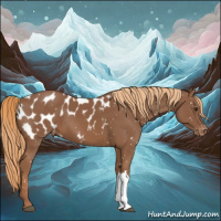 Horse Color:Chestnut Near Leopard 