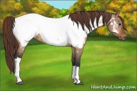 Horse Color:Bay Dun Near Fewspot 