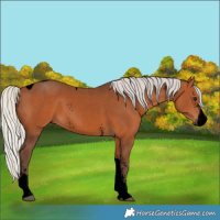 Horse Color:Void Silver Bay Sabino Tobiano 