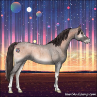 Horse Color:Smoky Blue Onyx Roan 