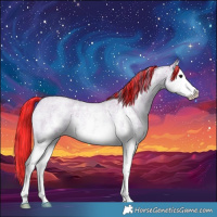 Horse Color:Painted Silver Grullo Roan Sabino Splash 