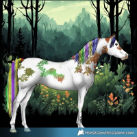 Horse Color:Painted Bay Splash Tobiano Rabicano 