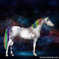 Horse Color:Gray Painted Bay Tobiano 