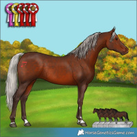 Horse Color:Silver Brown Rabicano 