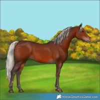 Horse Color:Silver Brown 