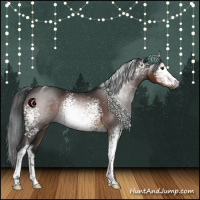 Horse Color:Gray White Spotted Brown Tobiano 