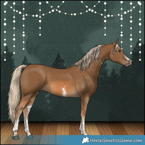 Horse Color:White Spotted Chocolate Palomino 