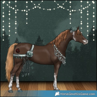 Horse Color:White Spotted Liver Chestnut Rabicano 