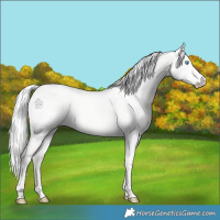 Horse Color:Silver Perlino Dun