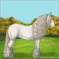 Horse Color:Smoky Creme Roan Dun 