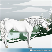 Horse Color:Silver Smoky Black Appaloosa 