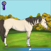 Horse Color:Buckskin Dun 