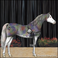 Horse Color:Nacre Silver Black Chinchilla Splash 
