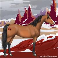 Horse Color:Bay Splash 